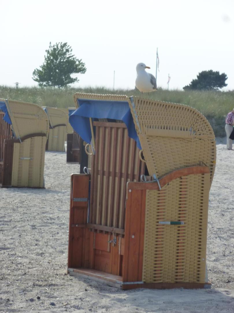 Traumhafter Ostsee-Ausblick, Fewo Direkt Am Strand Fehmarn Bagian luar foto